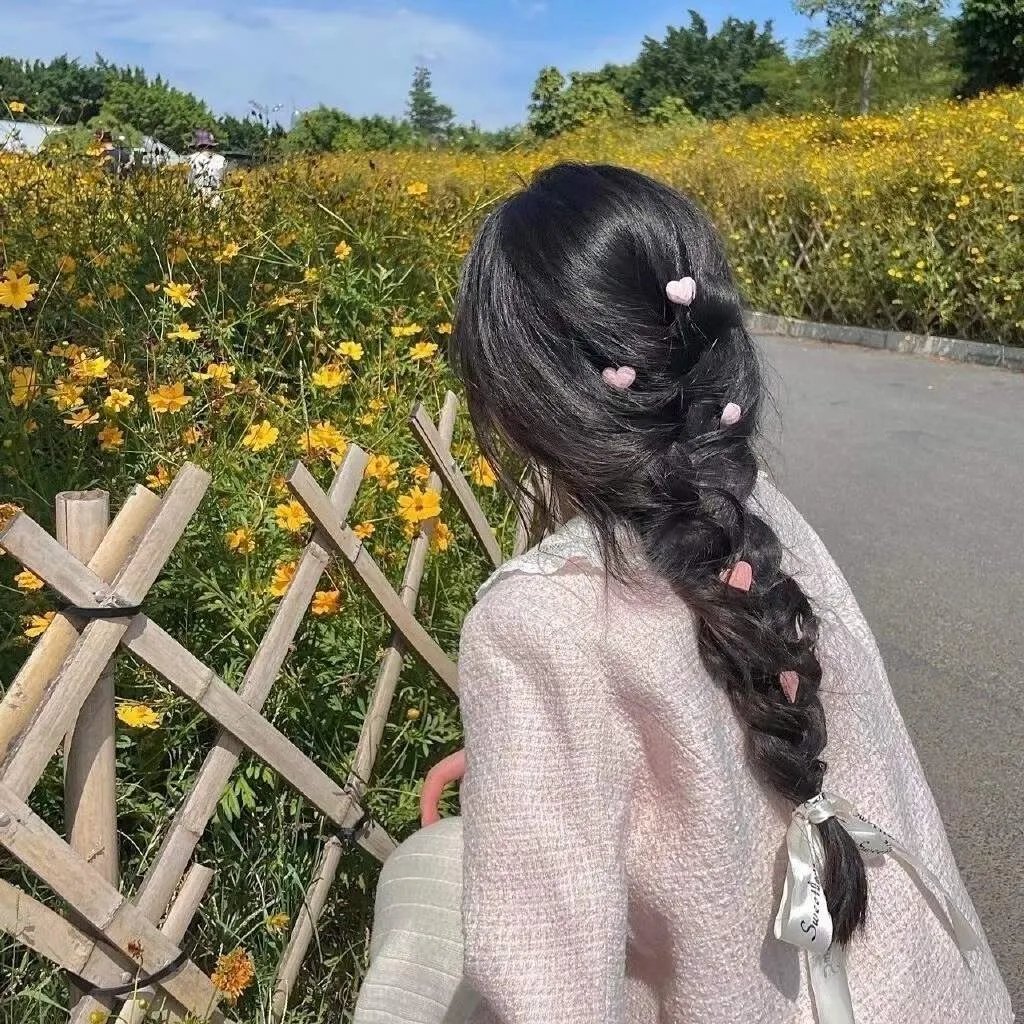 爱在哈佛国语